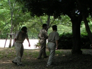 観察の様子