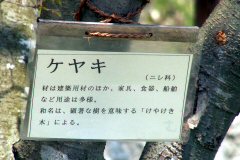 植物看板