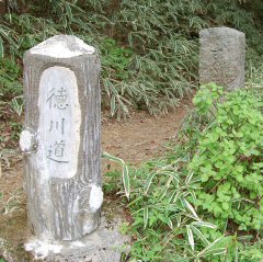 徳川道-1