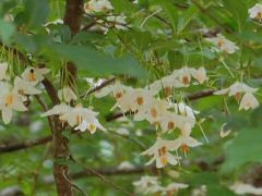Best Nature Lore-2