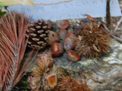 Best Nature Lore-4
